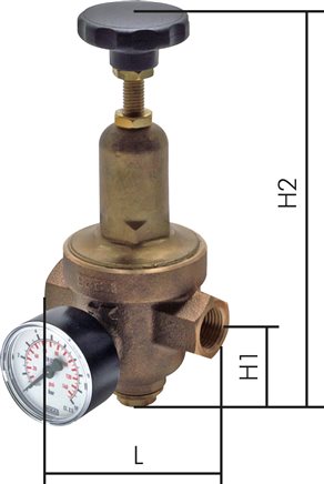 Zgleden uprizoritev: Standard pressure reducer