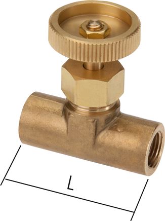 Zgleden uprizoritev: Needle valve (G 1/8" FT)