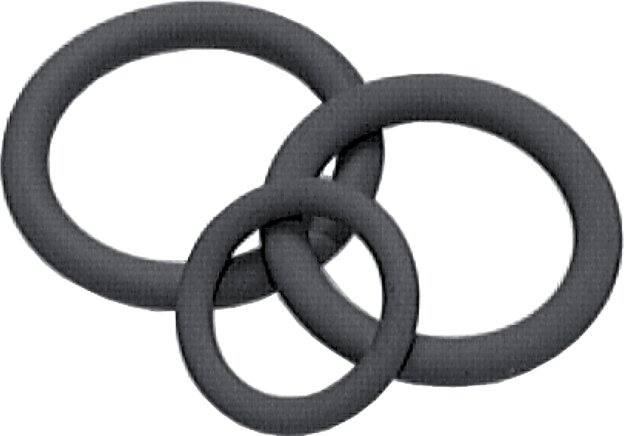 Exemplary representation: O-rings for sealing cone fittings