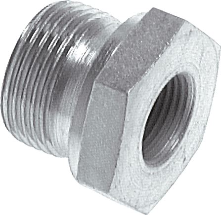 Zgleden uprizoritev: Hydraulic thread reducer with cylindrical male and female thread, galvanised steel elastomer seal