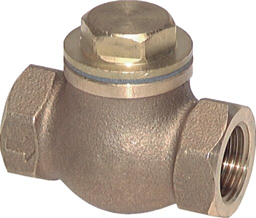 Zgleden uprizoritev: Check valve