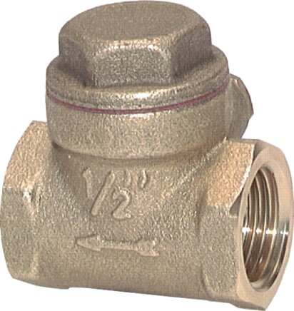 Exemplary representation: Check valve flap