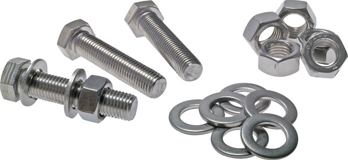 Exemplary representation: Screws, nuts, and washers for flanges