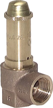 Zgleden uprizoritev: Corner safety valve