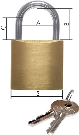 Exemplary representation: Cylinder padlock
